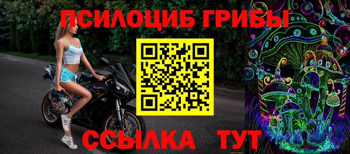 купить наркотики сайты  Галлюциногенные грибы мицелий  Вход с VPN  Беслан 